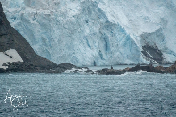 PLA27-26, Day 14, DSC04967.jpg © Annina Scholl - Oceanwide Expeditions.jpg