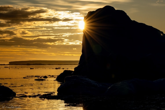 PLA27-26, Day 14, FZ1A7961.jpg © Charlotte Taplin - Oceanwide Expeditions.jpg