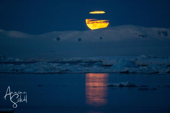 PLA27-26, Day 15, DSC05399.jpg © Annina Scholl - Oceanwide Expeditions.jpg