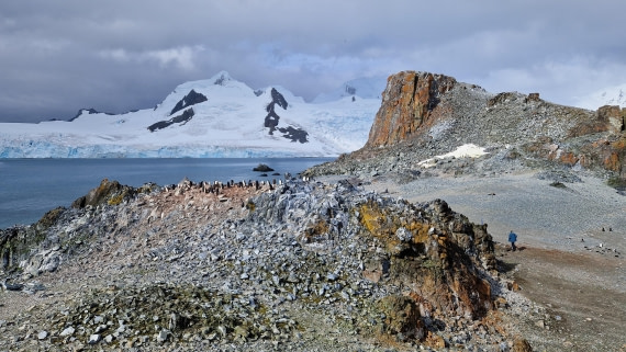 PLA27-26, Day 16, 20260203_100047.jpg © Unknown Photographer - Oceanwide Expeditions.jpg