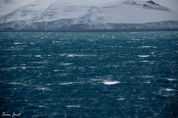 PLA27-26, Day 16, DSC_4598.jpg © Sven Joest - Oceanwide Expeditions.jpg