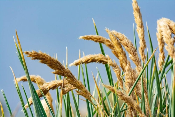 HDS28-26, Day 3, _DSC9282 Hana (2).jpg © Hana Spickova - Oceanwide Expeditions.jpg