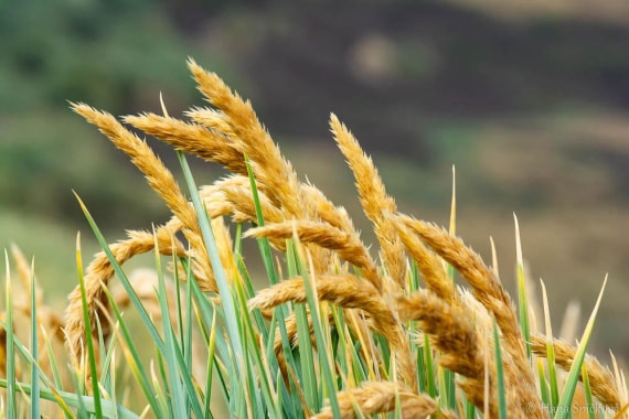 HDS28-26, Day 3, _DSC9282 Hana (3).jpg © Hana Spickova - Oceanwide Expeditions.jpg