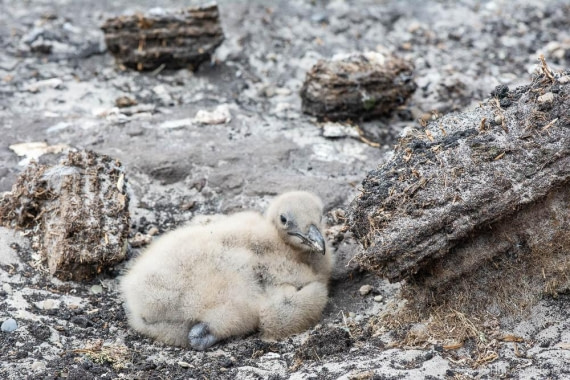 HDS28-26, Day 3, _DSC9282 Hana (8).jpg © Hana Spickova - Oceanwide Expeditions.jpg