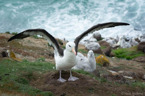 HDS28-26, Day 3, _DSC9282 Hana (16).jpg © Hana Spickova - Oceanwide Expeditions.jpg