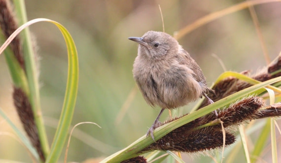 HDS28-26, Day 3, IMG_0042.JPG © Unknown photographer - Oceanwide Expeditions.JPG