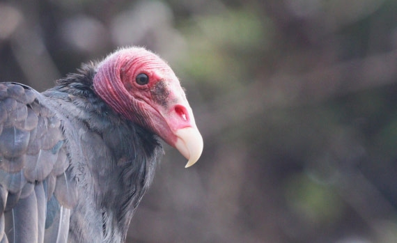 HDS28-26, Day 3, IMG_0089.JPG © Unknown photographer - Oceanwide Expeditions.JPG