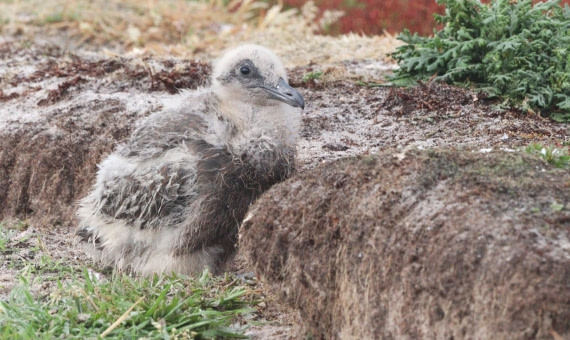 HDS28-26, Day 3, IMG_9978.JPG © Unknown photographer - Oceanwide Expeditions.JPG