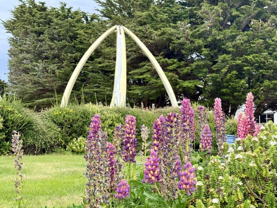 HDS28-26, Day 4, IMG_2179_Hana_(10).jpg © Hana Spickova - Oceanwide Expeditions.jpg