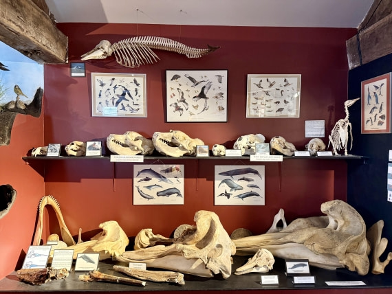 HDS28-26, Day 4, IMG_2179_Hana_(16).jpg © Hana Spickova - Oceanwide Expeditions.jpg