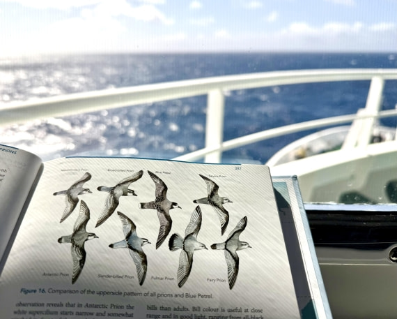 HDS28-26, Day 5, IMG_2244.jpg © Unknown photographer - Oceanwide Expeditions.jpg