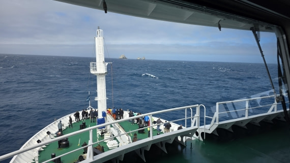 HDS28-26, Day 6, Shag rock landscape20260202_140903  © Unknown photographer - Oceanwide.jpg