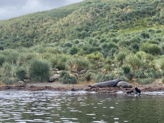 HDS28-26, Day 8, IMG_8655.JPG © Unknown photographer - Oceanwide Expeditions.JPG