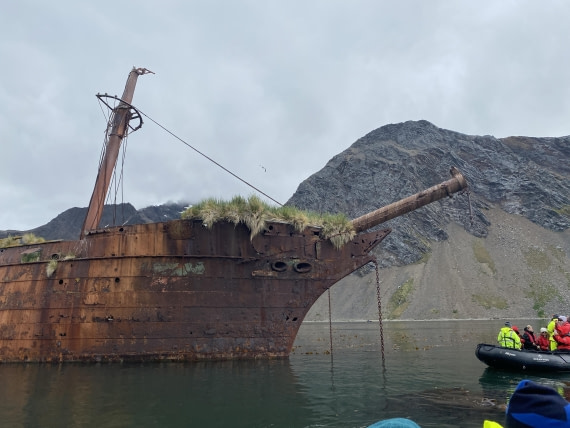 HDS28-26, Day 8, IMG_8656.JPG © Unknown photographer - Oceanwide Expeditions.JPG