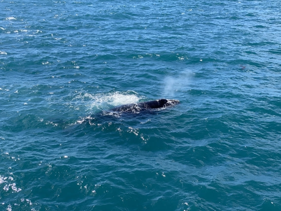 HDS28-26, Day 8, IMG_8670.JPG © Unknown photographer - Oceanwide Expeditions.JPG