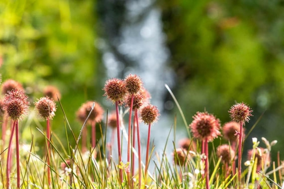 HDS28-26, Day 9, _DSC9687 Hana (1).jpg © Hana Spickova - Oceanwide Expeditions.jpg