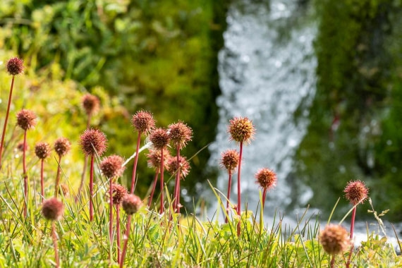 HDS28-26, Day 9, _DSC9687 Hana (3).jpg © Hana Spickova - Oceanwide Expeditions.jpg