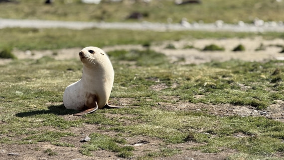 HDS28-26, Day 9, IMG_4971_Jade_(2).jpg © Jade Heister - Oceanwide Expeditions.jpg