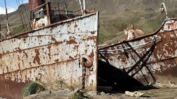 HDS28-26, Day 9, IMG_4971_Jade_(4).jpg © Jade Heister - Oceanwide Expeditions.jpg