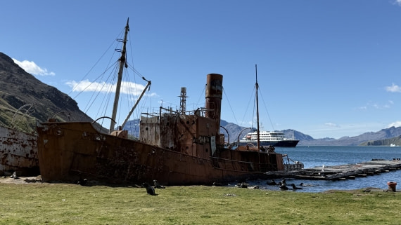 HDS28-26, Day 9, IMG_4971_Jade_(6).jpg © Jade Heister - Oceanwide Expeditions.jpg