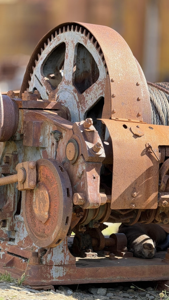 HDS28-26, Day 9, IMG_4971_Jade_(17).jpg © Jade Heister - Oceanwide Expeditions.jpg