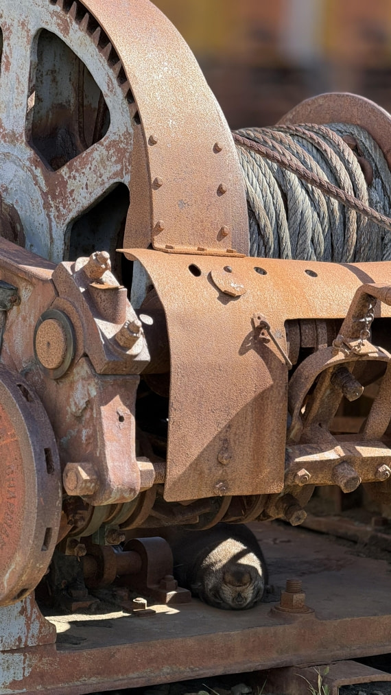 HDS28-26, Day 9, IMG_4971_Jade_(20).jpg © Jade Heister - Oceanwide Expeditions.jpg