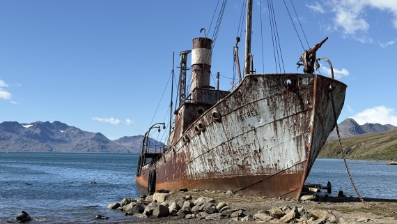 HDS28-26, Day 9, IMG_4971_Jade_(23).jpg © Jade Heister - Oceanwide Expeditions.jpg