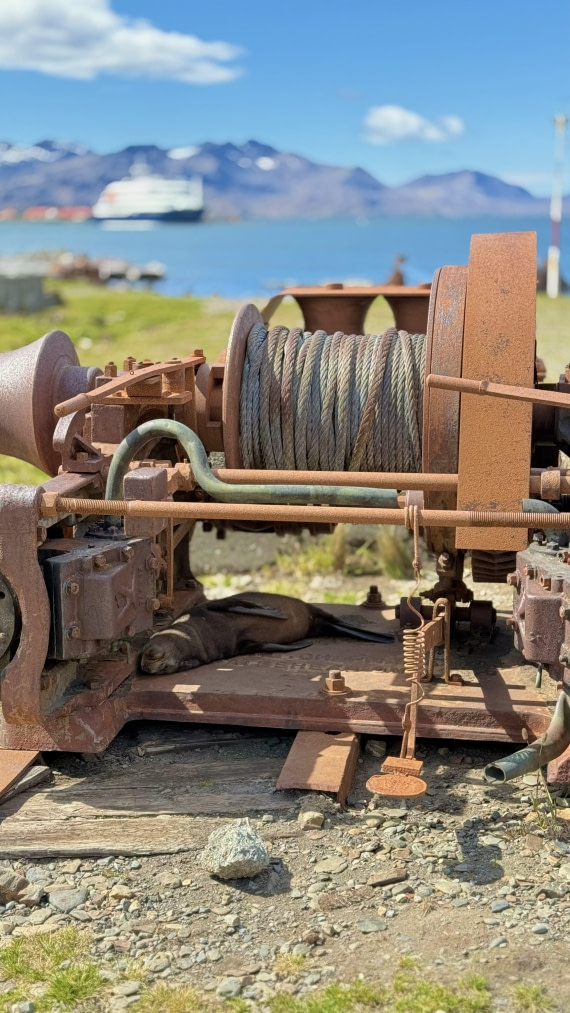 HDS28-26, Day 9, IMG_4971_Jade_(25).jpg © Jade Heister - Oceanwide Expeditions.jpg