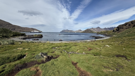 HDS28-26, Day 9, IMG_4971_Jade_(31).jpg © Jade Heister - Oceanwide Expeditions.jpg