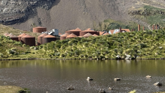 HDS28-26, Day 9, IMG_4971_Jade_(33).jpg © Jade Heister - Oceanwide Expeditions.jpg