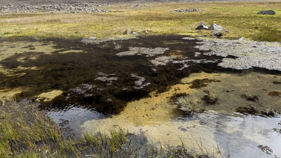 HDS28-26, Day 9, IMG_4971_Jade_(42).jpg © Jade Heister - Oceanwide Expeditions.jpg