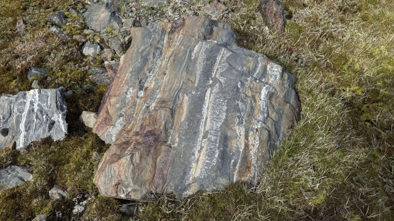 HDS28-26, Day 9, IMG_4971_Jade_(43).jpg © Jade Heister - Oceanwide Expeditions.jpg