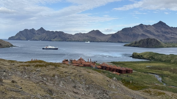 HDS28-26, Day 9, IMG_4971_Jade_(56).jpg © Jade Heister - Oceanwide Expeditions.jpg