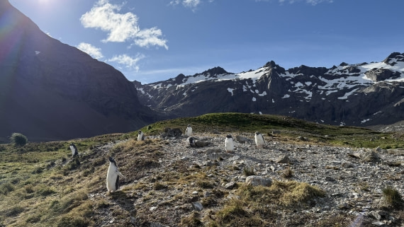 HDS28-26, Day 9, IMG_4971_Jade_(60).jpg © Jade Heister - Oceanwide Expeditions.jpg