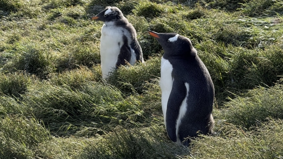 HDS28-26, Day 9, IMG_4971_Jade_(62).jpg © Jade Heister - Oceanwide Expeditions.jpg