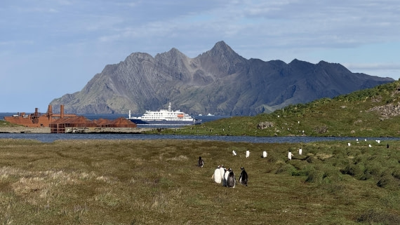 HDS28-26, Day 9, IMG_4971_Jade_(68).jpg © Jade Heister - Oceanwide Expeditions.jpg