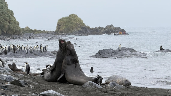 HDS28-26, Day 10, JadePLUX7262_(1).jpg © Jade Heister - Oceanwide Expeditions.jpg