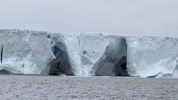 HDS28-26, Day 12, IMG_5234_-_Jade_(3).jpg © Jade Heister - Oceanwide Expeditions.jpg