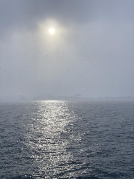 HDS28-26, Day 14, IMG_8772.JPG © Unknown photographer - Oceanwide Expeditions.JPG