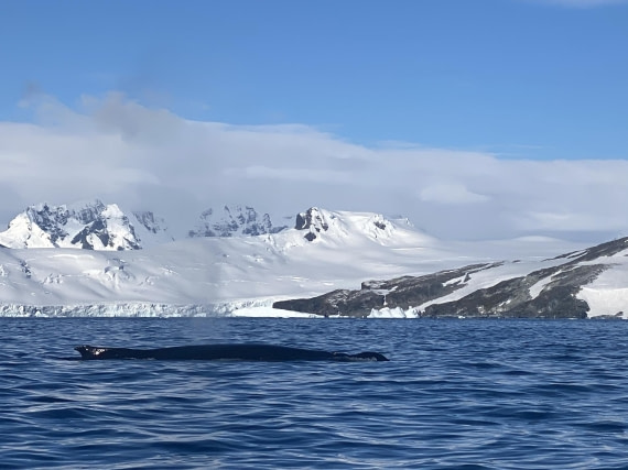 HDS28-26, Day 14, IMG_8800.jpg © Unknown photographer - Oceanwide Expeditions.jpg