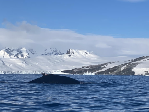 HDS28-26, Day 14, IMG_8801.jpg © Unknown photographer - Oceanwide Expeditions.jpg