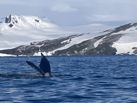 HDS28-26, Day 14, IMG_8804.jpg © Unknown photographer - Oceanwide Expeditions.jpg