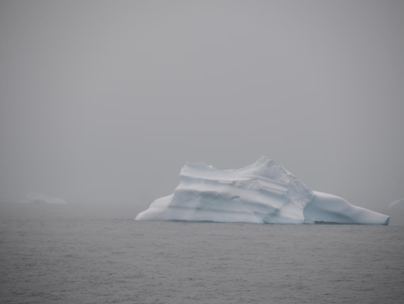 HDS28-26, Day 14, P2100706.JPG © Unknown photographer - Oceanwide Expeditions.JPG