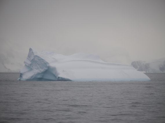 HDS28-26, Day 14, P2100707.JPG © Unknown photographer - Oceanwide Expeditions.JPG