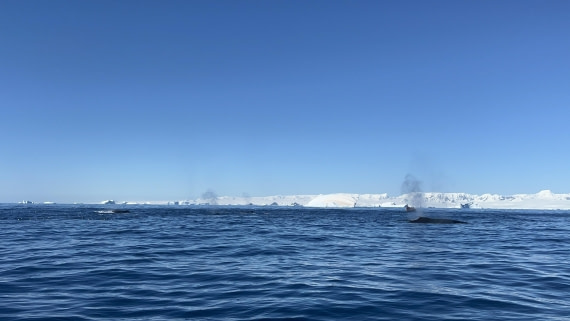 HDS28-26, Day 17, IMG_3395.jpg © Unknown photographer - Oceanwide Expeditions.jpg