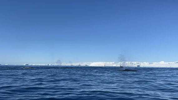 HDS28-26, Day 17, IMG_3396.jpg © Unknown photographer - Oceanwide Expeditions.jpg