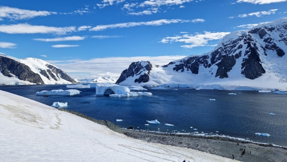 PLA28-26, Day 7, 20260212_154906 © Unknown photographer - Oceanwide Expeditions.jpg