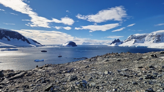 PLA28-26, Day 7, 20260212_160203 © Unknown photographer - Oceanwide Expeditions.jpg