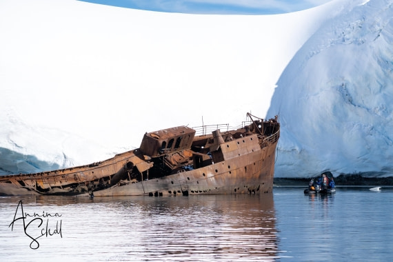 PLA28-26, Day 7, DSC07652 © Annina Scholl - Oceanwide Expeditions.jpg