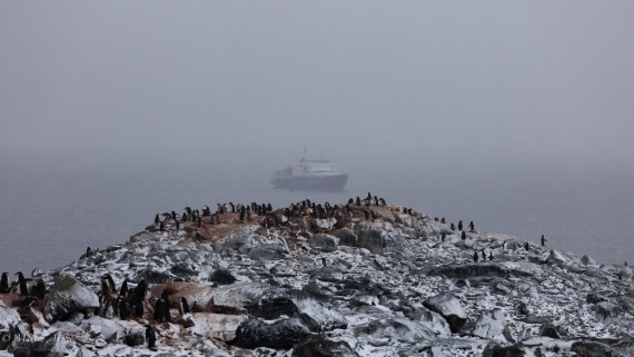 PLA28-26, Day 4, 0Q9A7723 © Martin Anstee - Oceanwide Expeditions.jpg